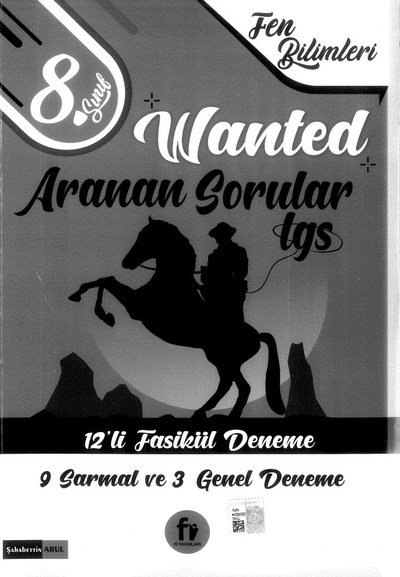 WANTED ARANAN SORULAR LGS 12'Lİ FASİKÜL DENEME Zeta Fotokopi