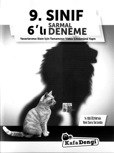 SARMAL 6'LI DENEME Zeta Fotokopi