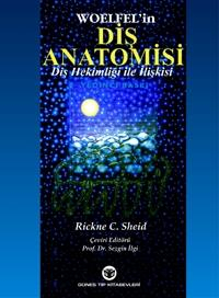 Diş Anatomisi Diş Hekimliği ile İlişkisi, Woelfel, Rickne Sheid, Sezgin İlgi Zeta Fotokopi
