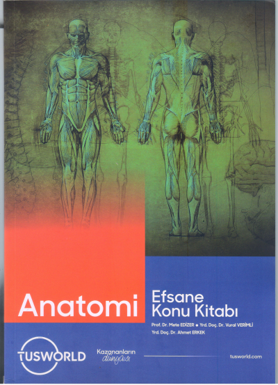 Anatomi Efsane Konu Kitabı Tusworld Zeta Fotokopi