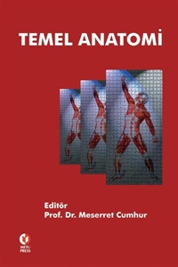 Temel Anatomi ODTÜ Yayıncılık Akademi Zeta Fotokopi